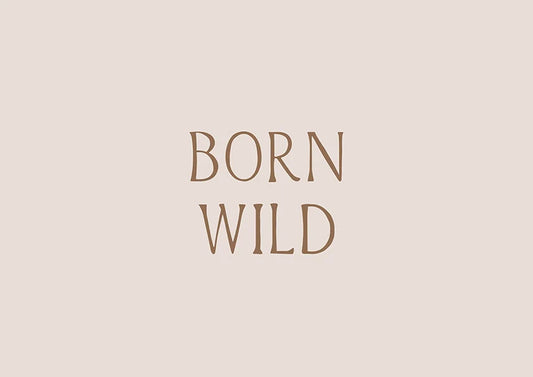 Born Wild Постер